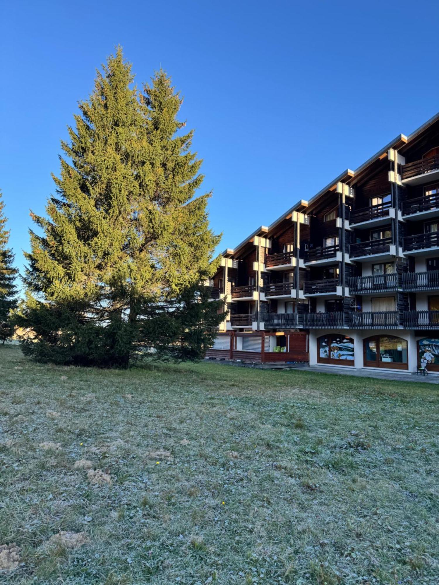 Superbe Studio De Montagne, Au Pied Des Pistes De Ski, Classe 3 Etoiles La Morte Екстер'єр фото